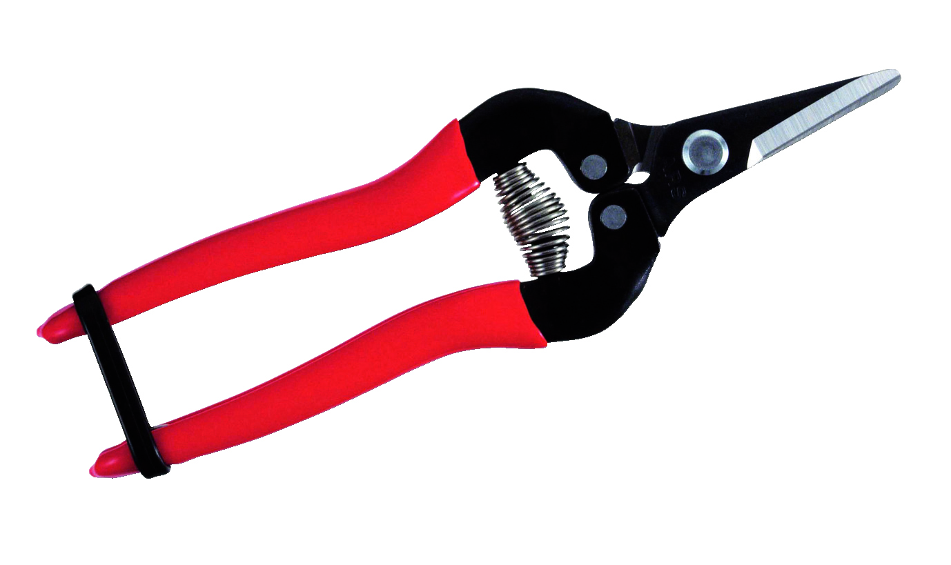 ARS Trauben/Ernteschere 300SS 100 g, 17,1 cm, abgerundete Klinge ARS Trauben/Ernteschere 300SS 100 g, 17,1 cm, abgerundete Klinge