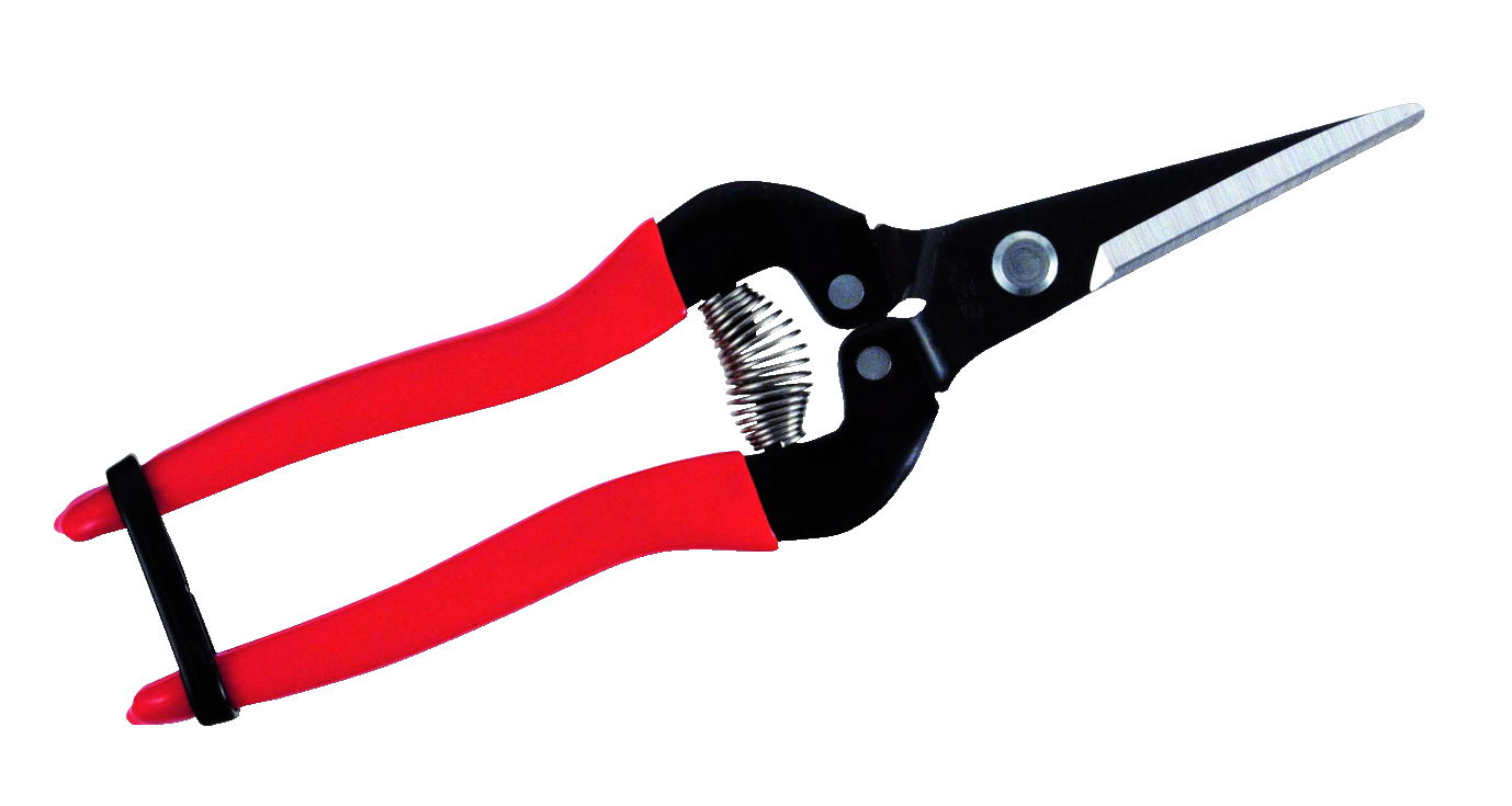 ARS Trauben/Ernte/Floristenschere 300L 19,0 cm, 110 g, spitze Klinge ARS Trauben/Ernte/Floristenschere 300L 19,0 cm, 110 g, spitze Klinge