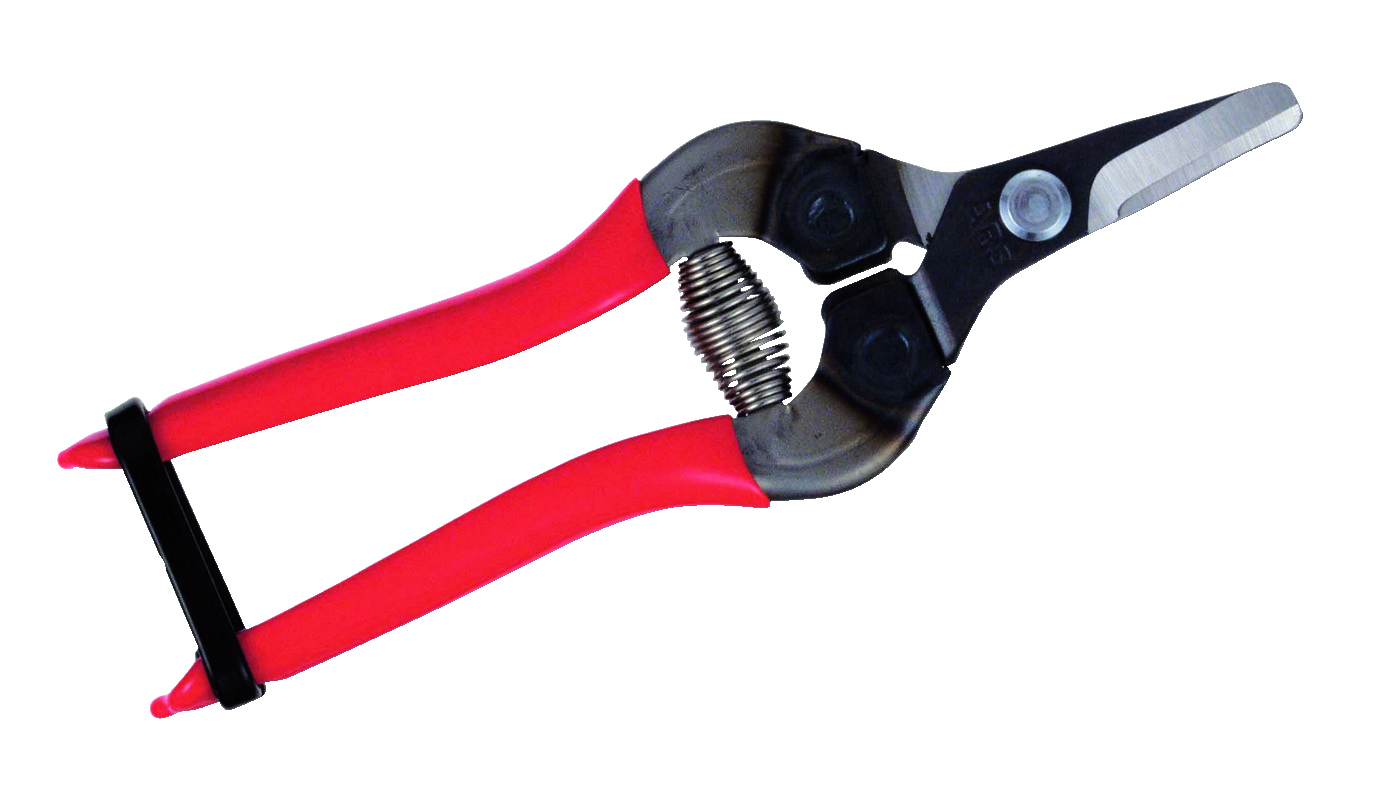 ARS Obstschere 310, rot kurze gebog. Klinge ARS Obstschere 310, rot kurze gebog. Klinge